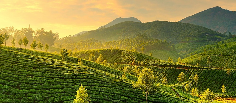Mejores Viajes al Sur de la India